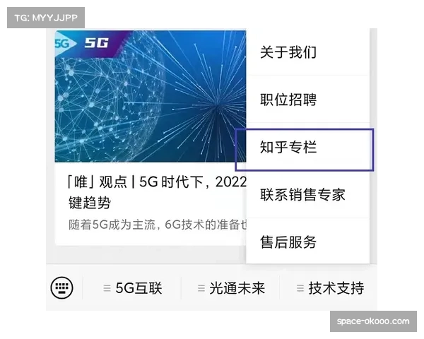 专栏观点:现代德甲战术演化中,“肋部渗透”已超越“边路传中”成为主要手段?
